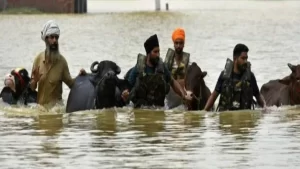 इंसानों के साथ-साथ पशुओं की भी सच्ची रक्षक! Punjab Government ने सिर्फ 7 दिन में 1.75 Lakh से ज्यादा पशुओं को ‘Gal-Ghotu’ से बचाया